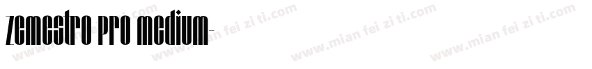 Zemestro Pro Medium字体转换
